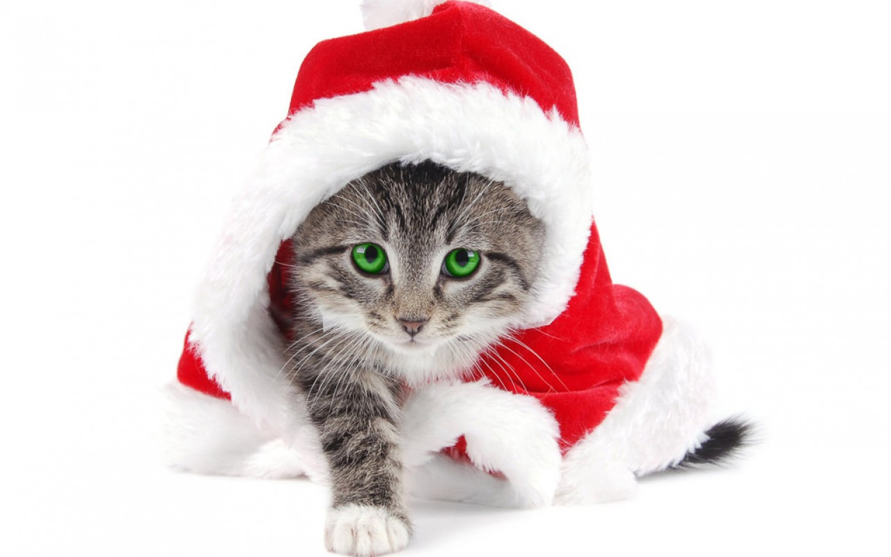 Comment gérer ma famille à Noël ?